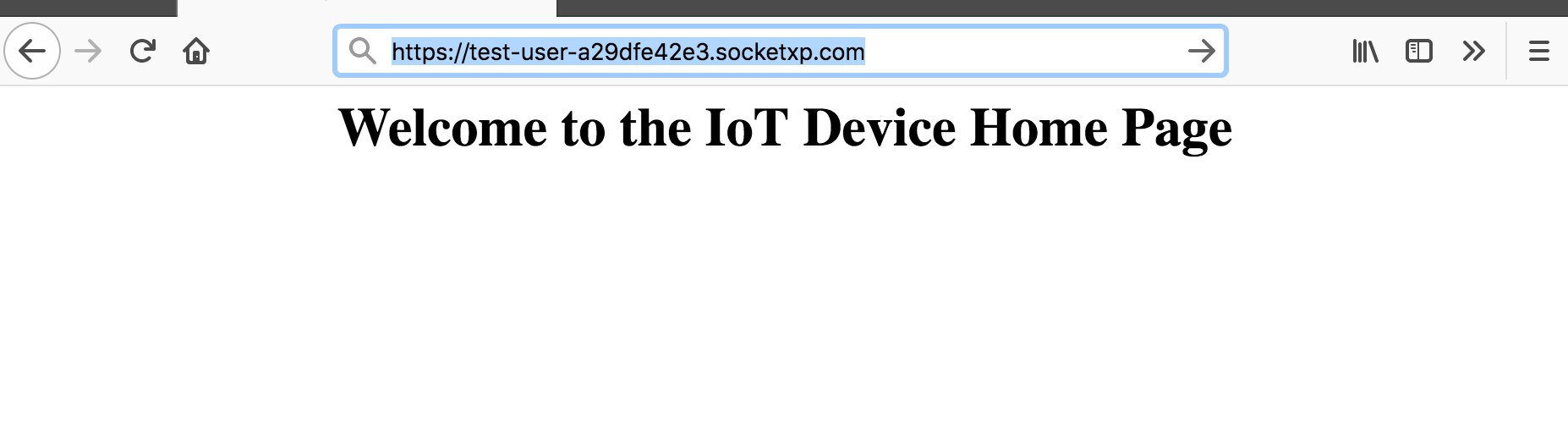 IoT Remote Web Server Access